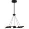 Quoizel Cyprus Chandelier Led Light Matte Black PCCYP5023MBK - alternate 4